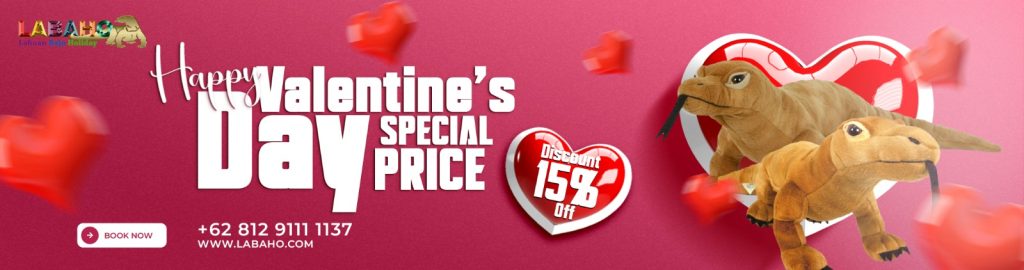 Promo Valentine Day